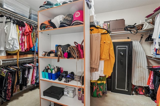5564 S Jasper Way, Centennial, CO 80015 - walk in closet featuring carpet