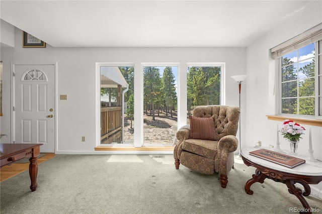 266 Gap Rd, Black Hawk, CO 80422 - sitting room with carpet and baseboards