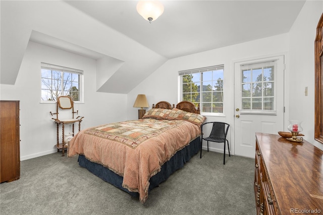 266 Gap Rd, Black Hawk, CO 80422 - bedroom featuring carpet floors, multiple windows, and lofted ceiling