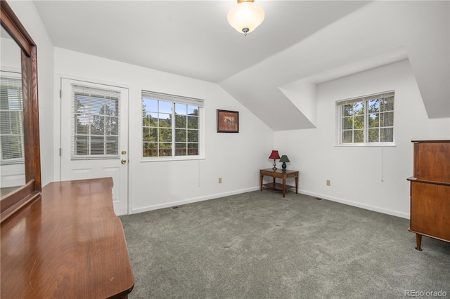 266 Gap Rd, Black Hawk, CO 80422 - bonus room featuring carpet flooring, healthy amount of natural light, and vaulted ceiling