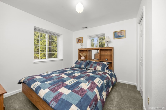 266 Gap Rd, Black Hawk, CO 80422 - carpeted bedroom with multiple windows