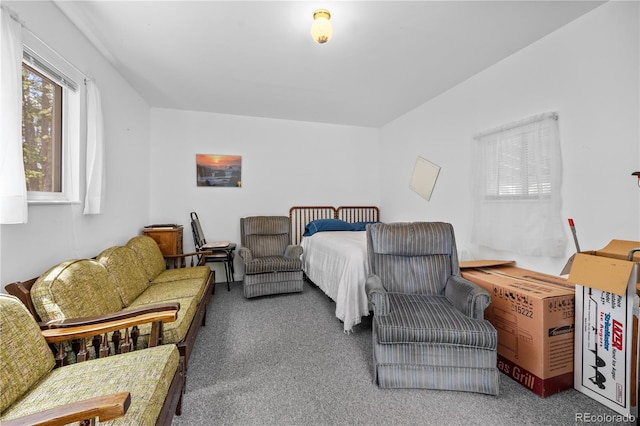 266 Gap Rd, Black Hawk, CO 80422 - view of carpeted bedroom