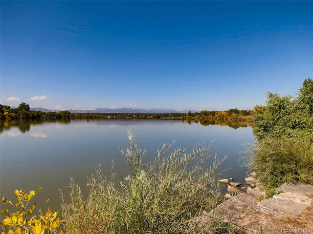 2616 Utica St, Denver, CO 80212 - water view