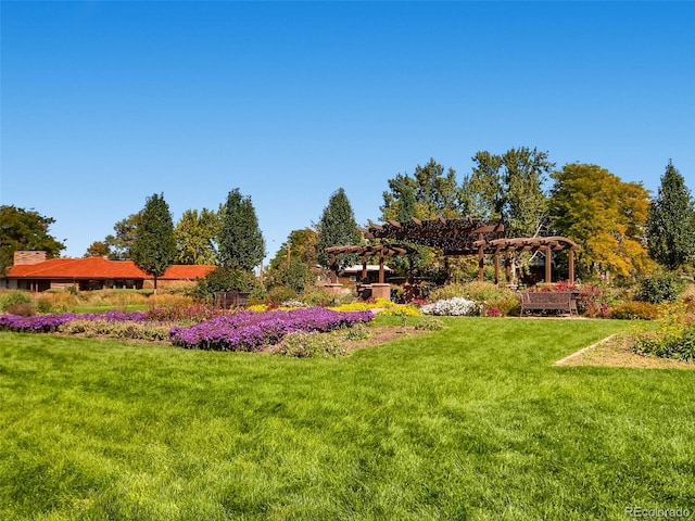 2616 Utica St, Denver, CO 80212 - view of green lawn featuring a pergola