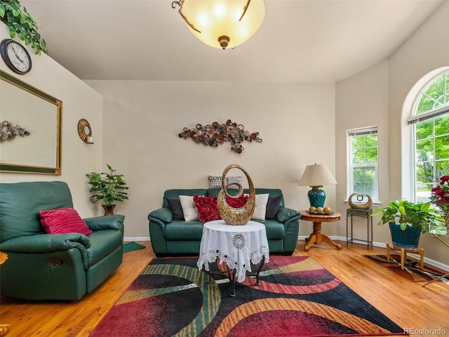 living room with wood-type flooring