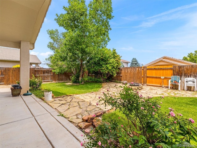 view of yard featuring a patio area