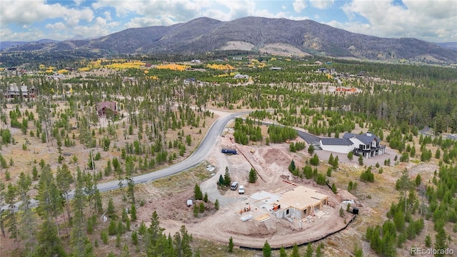 birds eye view of property featuring a mountain view