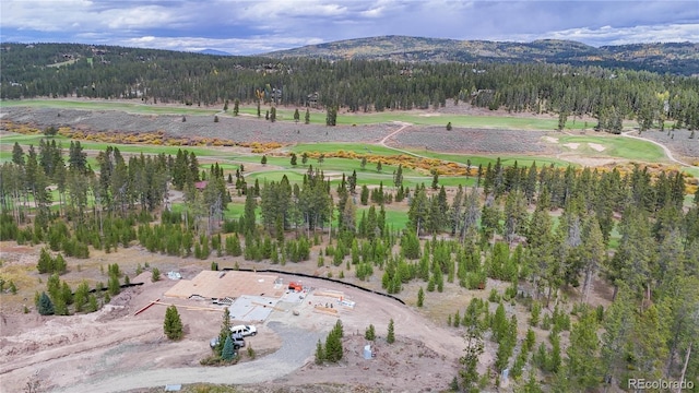 birds eye view of property featuring a mountain view