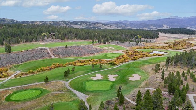 1086 Wildberry Ln, Tabernash, CO 80478 - photo 41