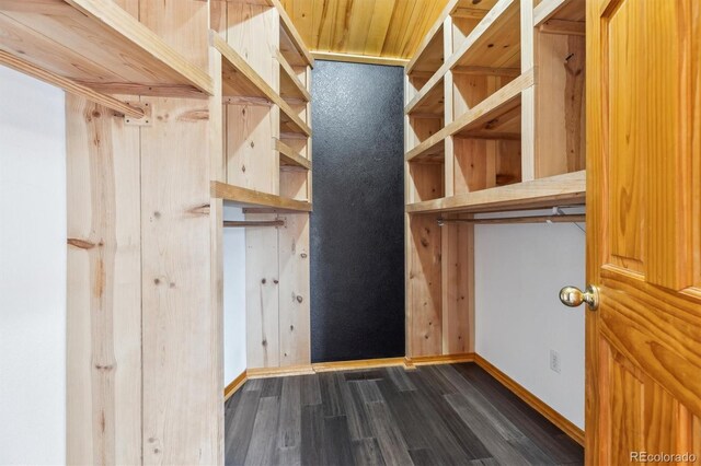 7317 Fremont Pl, Larkspur, CO 80118 - walk in closet featuring dark wood-style flooring