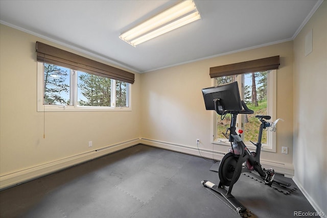 3251 Interlocken Dr, Evergreen, CO 80439 - photo 22