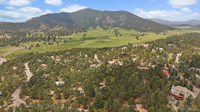 3251 Interlocken Dr, Evergreen, CO 80439 - photo 40