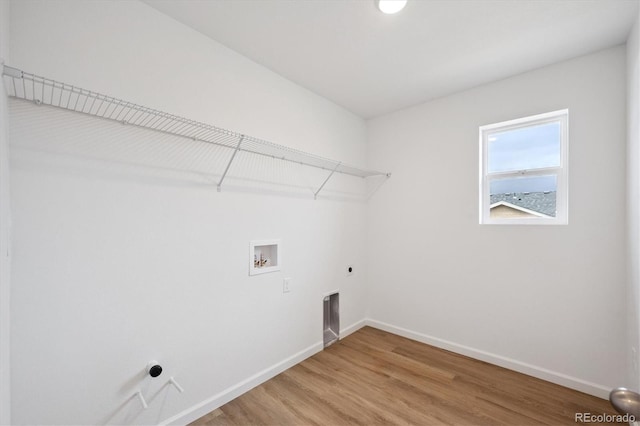 6179 Amerifax Dr, Windsor, CO 80528 - photo 10