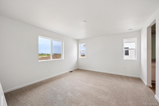 6179 Amerifax Dr, Windsor, CO 80528 - photo 11