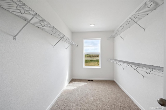 6179 Amerifax Dr, Windsor, CO 80528 - photo 14