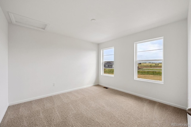6179 Amerifax Dr, Windsor, CO 80528 - photo 15