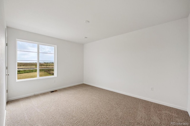 6179 Amerifax Dr, Windsor, CO 80528 - photo 19