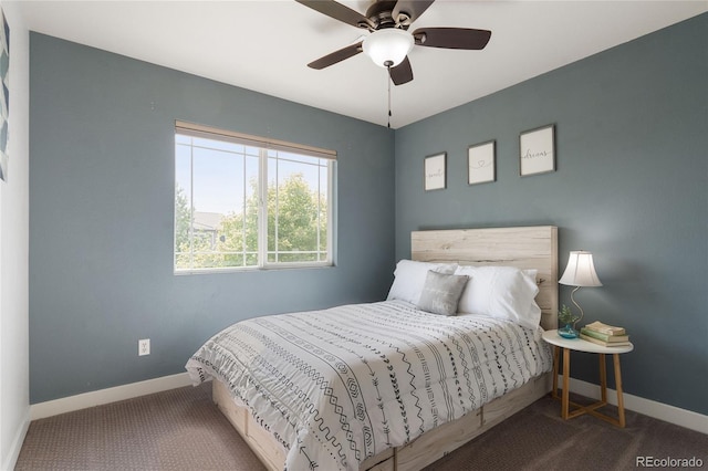 12941 Roslyn St, Thornton, CO 80602 - photo 29