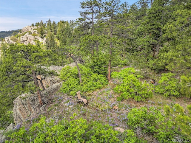 9648 Yegge Rd, Morrison, CO 80465 - view of wooded area