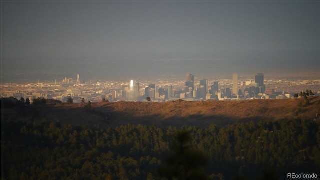 9648 Yegge Rd, Morrison, CO 80465 - view of city