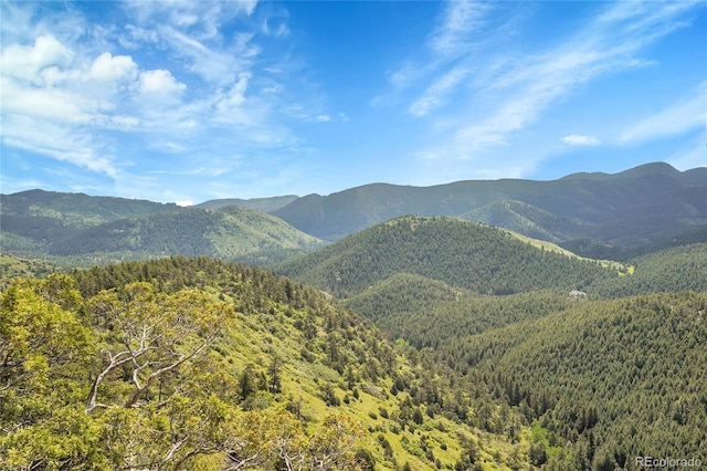 9648 Yegge Rd, Morrison, CO 80465 - view of mountain backdrop with a heavily wooded area
