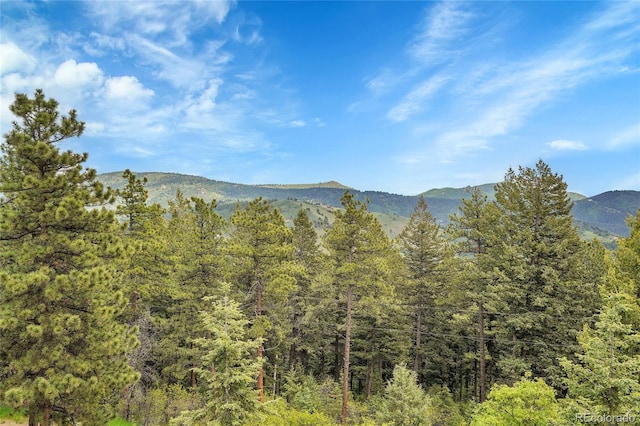 9648 Yegge Rd, Morrison, CO 80465 - mountain view featuring a forest