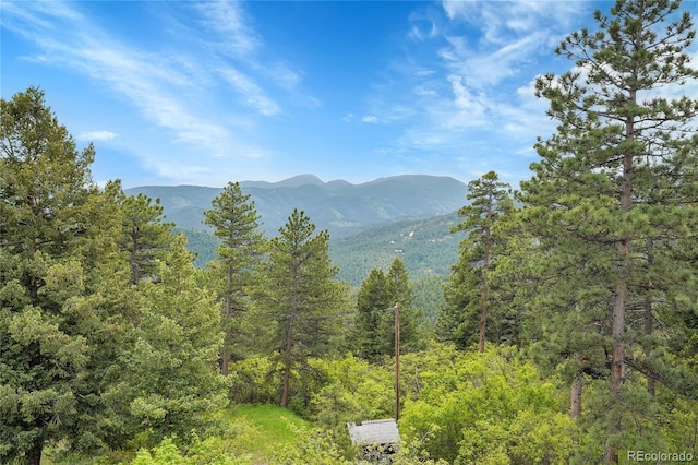 9648 Yegge Rd, Morrison, CO 80465 - view of mountain backdrop with a heavily wooded area