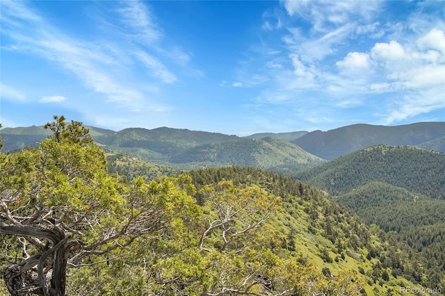 9648 Yegge Rd, Morrison, CO 80465 - view of mountain background with a heavily wooded area