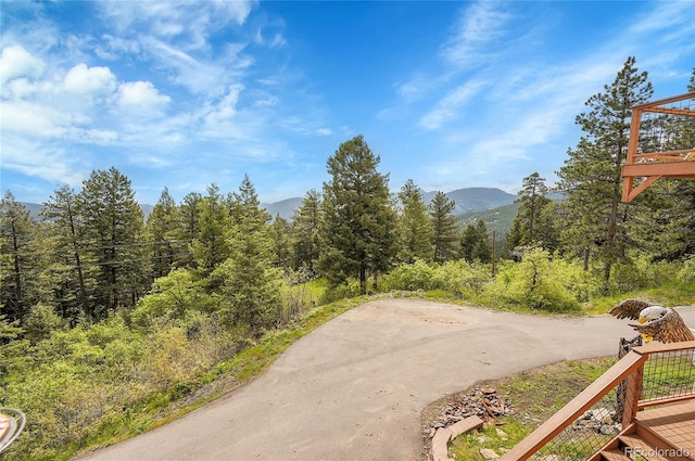 9648 Yegge Rd, Morrison, CO 80465 - view of mountain backdrop featuring a heavily wooded area
