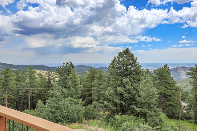 9648 Yegge Rd, Morrison, CO 80465 - photo 2