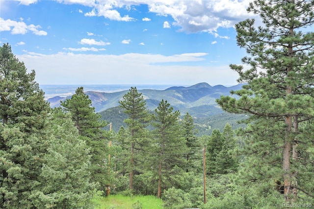 9648 Yegge Rd, Morrison, CO 80465 - photo 3