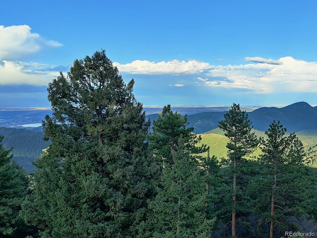9648 Yegge Rd, Morrison, CO 80465 - photo 4
