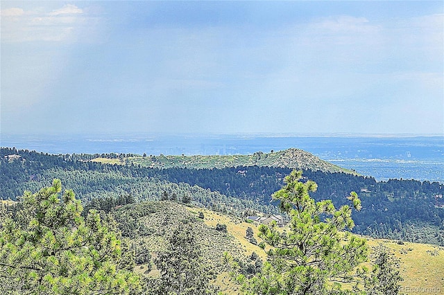 9648 Yegge Rd, Morrison, CO 80465 - photo 6