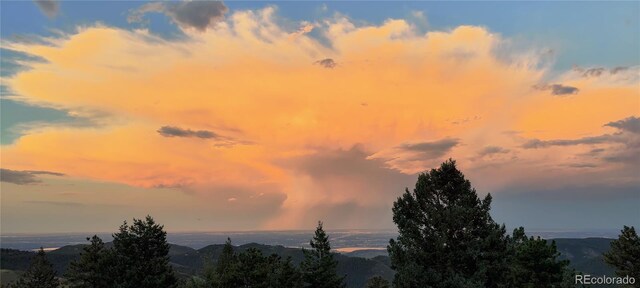 9648 Yegge Rd, Morrison, CO 80465 - photo 10