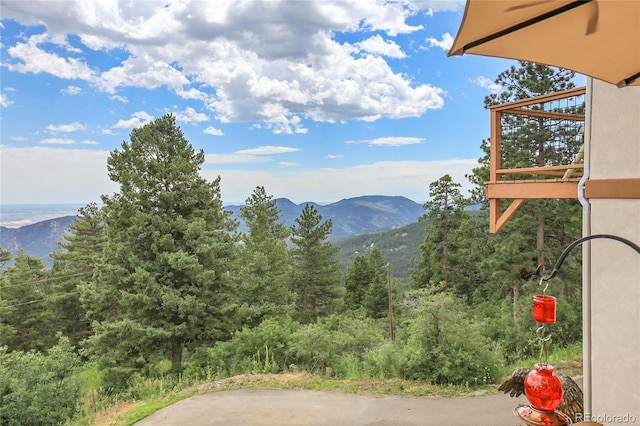 9648 Yegge Rd, Morrison, CO 80465 - photo 47