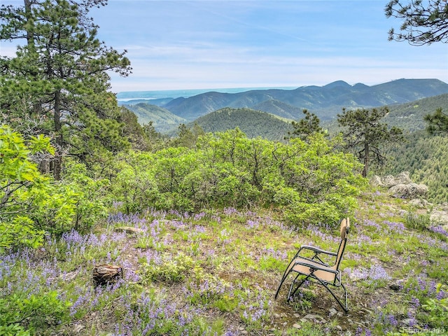 9648 Yegge Rd, Morrison, CO 80465 - photo 48