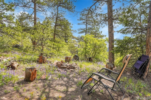 9648 Yegge Rd, Morrison, CO 80465 - photo 49
