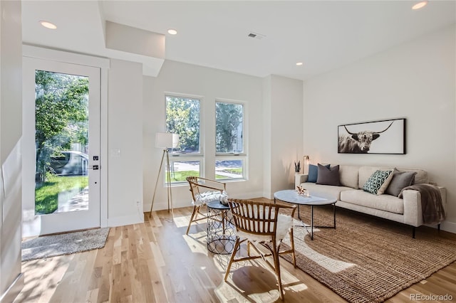 living room featuring light hardwood / wood-style floors