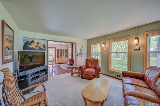 29250 County Road 330, Buena Vista, CO 81211 - living area featuring carpet floors