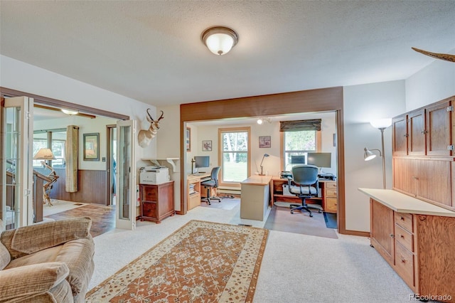 29250 County Road 330, Buena Vista, CO 81211 - office area with light colored carpet, a textured ceiling, and a baseboard radiator