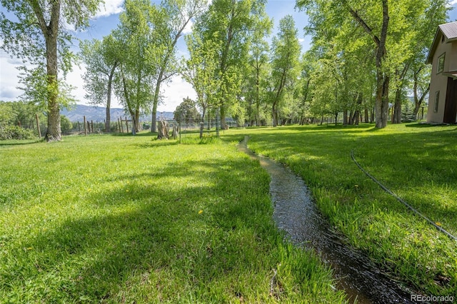29250 County Road 330, Buena Vista, CO 81211 - view of yard