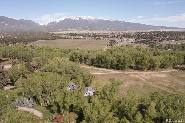 29250 County Road 330, Buena Vista, CO 81211 - view of mountain background