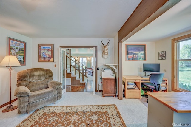 29250 County Road 330, Buena Vista, CO 81211 - office area featuring carpet flooring