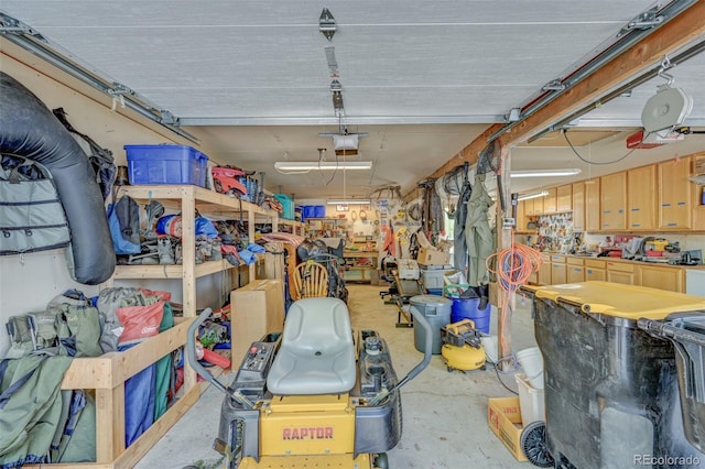 29250 County Road 330, Buena Vista, CO 81211 - garage featuring a garage door opener