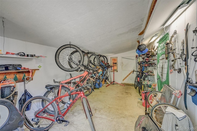 29250 County Road 330, Buena Vista, CO 81211 - garage with bike storage