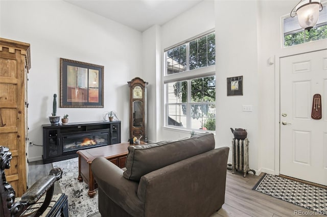 588 Beauprez Ave, Lafayette, CO 80026 - living area featuring light wood-type flooring, a glass covered fireplace, and a towering ceiling