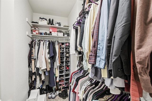 588 Beauprez Ave, Lafayette, CO 80026 - view of spacious closet