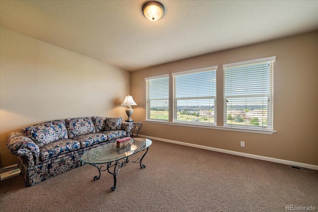 23515 Branston Ln, Parker, CO 80138 - photo 26