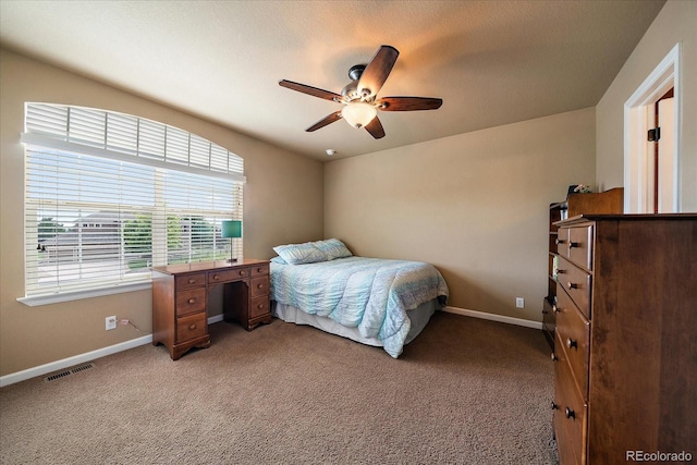 23515 Branston Ln, Parker, CO 80138 - photo 31