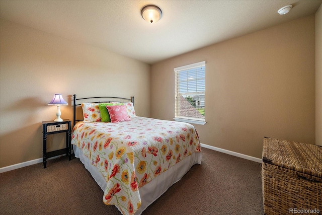 23515 Branston Ln, Parker, CO 80138 - photo 32